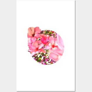 Pink Blossoms Posters and Art